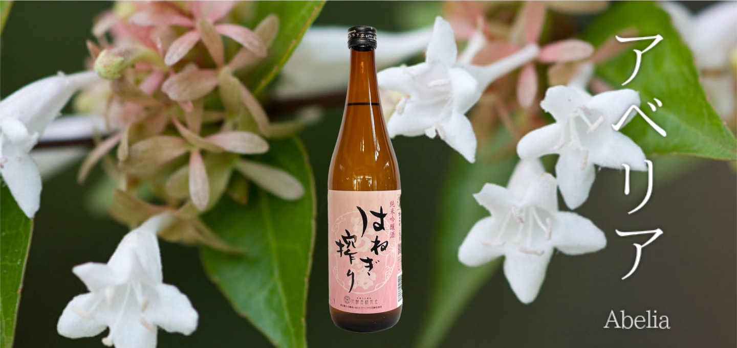 純米吟醸酒 はね木搾り